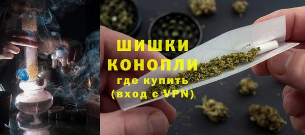 спайс Арсеньев