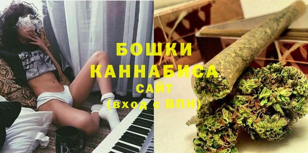 спайс Арсеньев