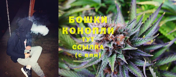 винт Аркадак