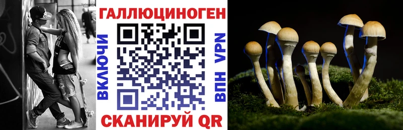 Псилоцибиновые грибы Psilocybine cubensis  купить наркотик  Новый Оскол 